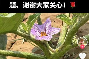 获申花终身成就奖，范志毅：心情不比1995年拿冠军时差